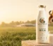 Best-A2-Milk-Near-Me-How-to-Choose-a-Trusted-Farm-Gaumaa-farms.